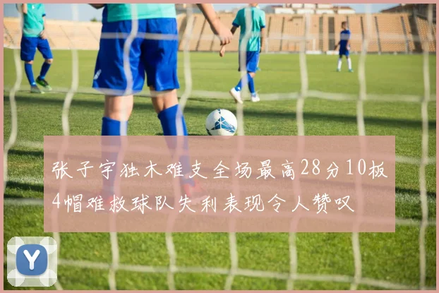 张子宇独木难支全场最高28分10板4帽难救球队失利表现令人赞叹