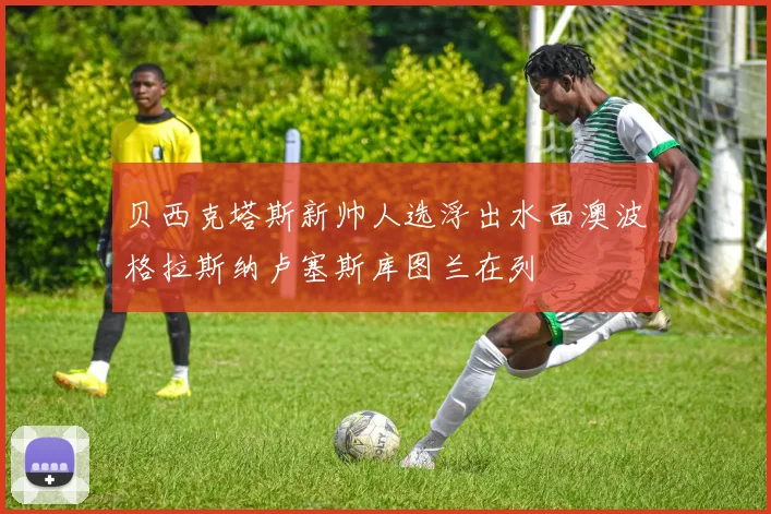 贝西克塔斯新帅人选浮出水面澳波格拉斯纳卢塞斯库图兰在列